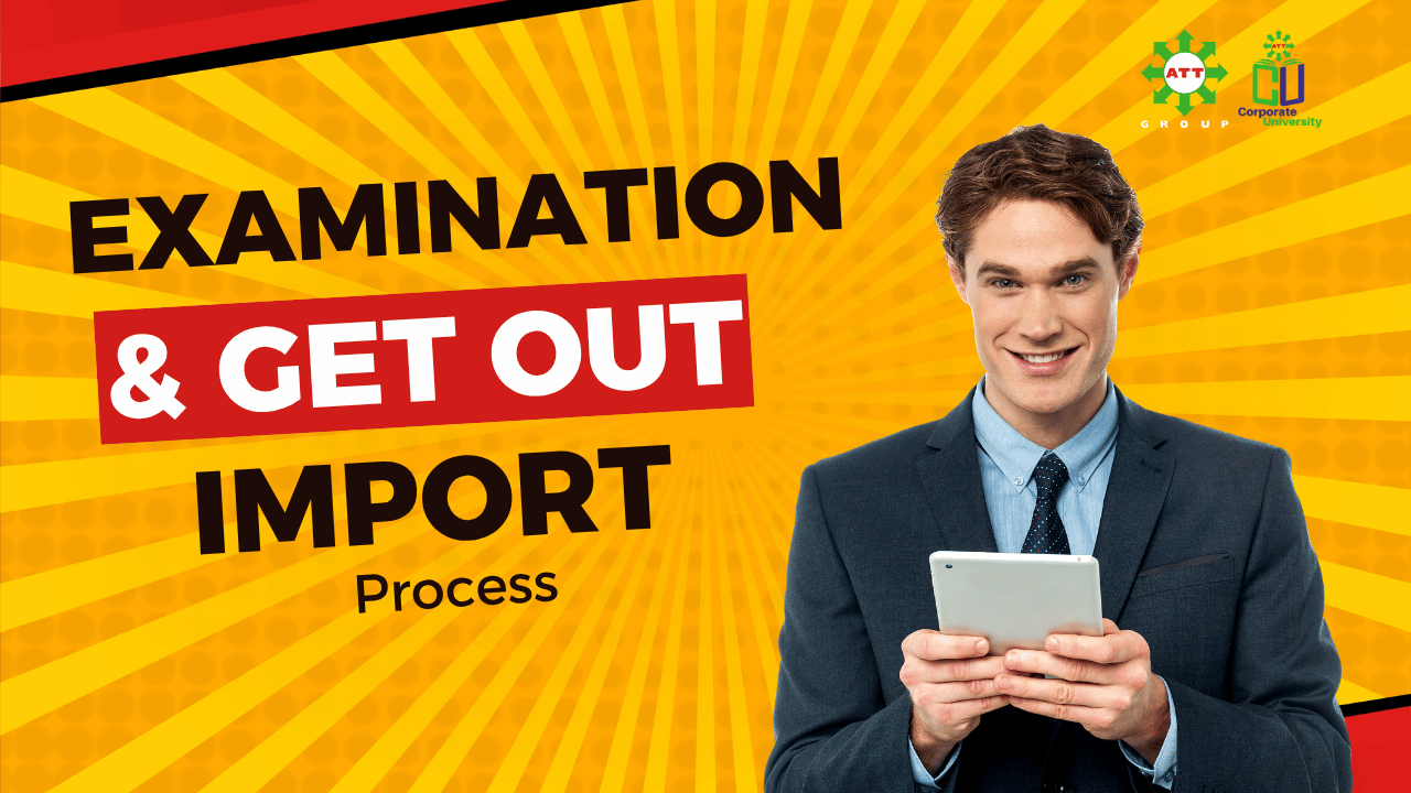 Examination & Gate Out Import Process